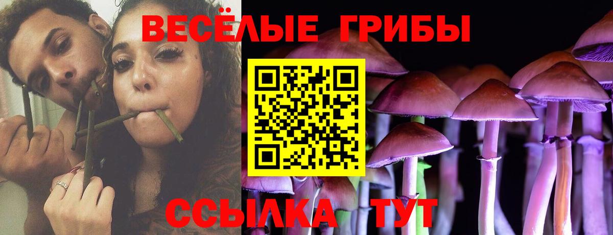 Псилоцибиновые грибы прущие грибы Верхняя Салда
