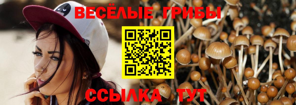 Верхняя Салда  Псилоцибиновые грибы прущие грибы  купить наркоту  Вход с VPN 